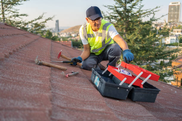 Best Siding Painting and Refinishing  in Pinconning, MI